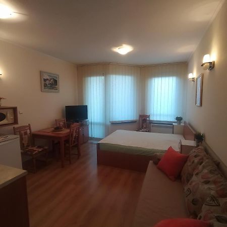 Pine Tree Studio B11 Bansko Eksteriør bilde
